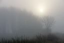 December Mist