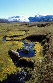 Icelandic landscape photo