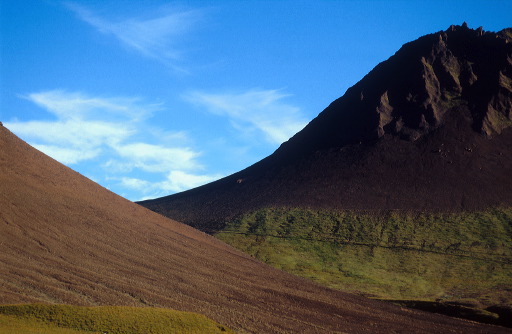 torf0121.jpg