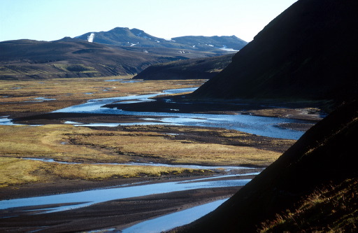 torfa038.jpg